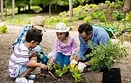 How to Start a Garden in 5 Easy Steps | Blog